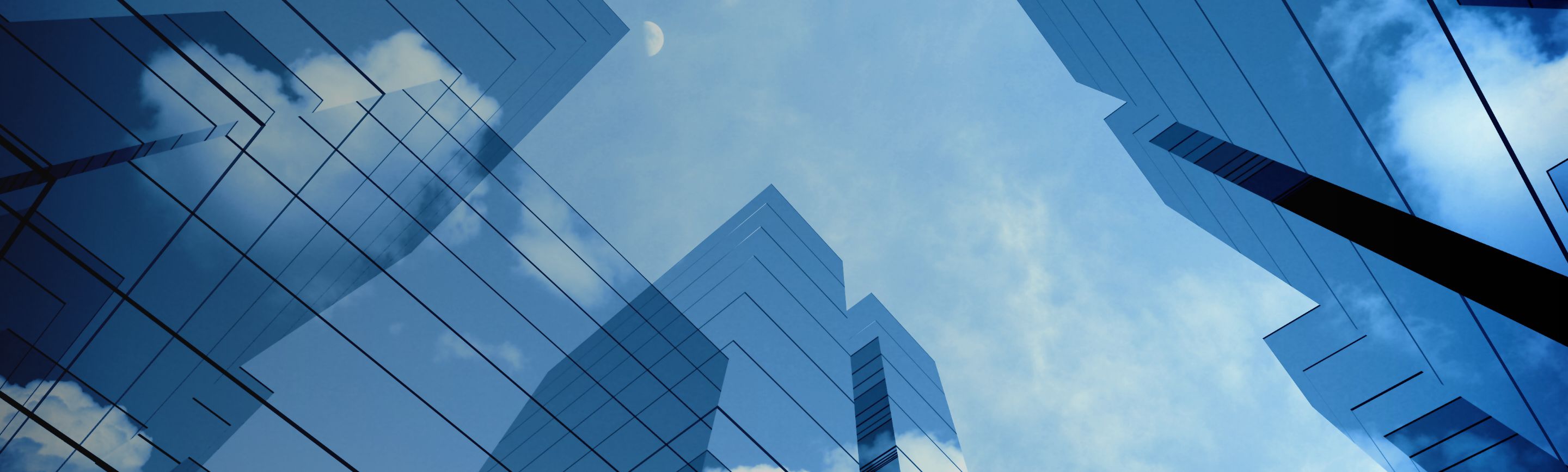 서브 비주얼 이미지